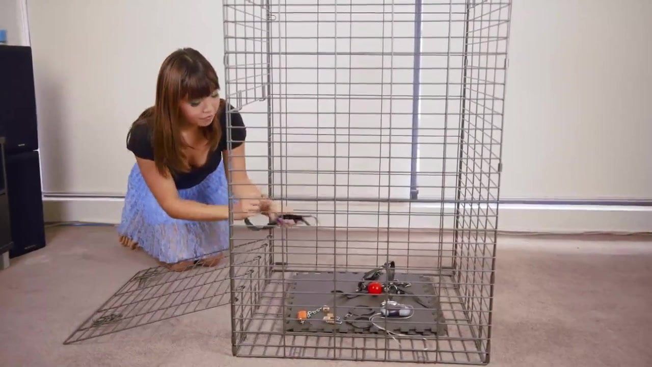 Ezzie reccomend play Bondage cages puppy