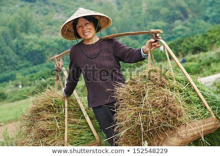 Asian rice farmer