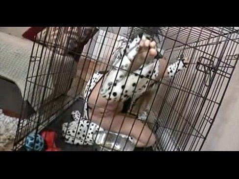 best of Cages puppy play Bondage