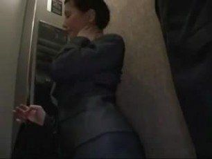 Dandelion reccomend elevator grope