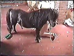 best of Ponies Woman being fucked by