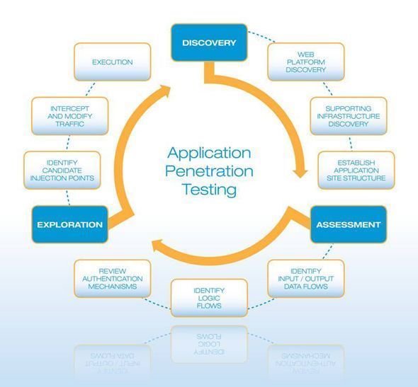 Web penetration testing software