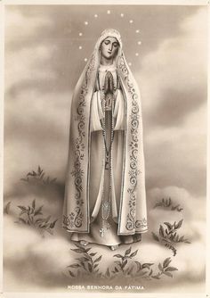 Wild R. reccomend Mary consecrated vessel perpetual virginity