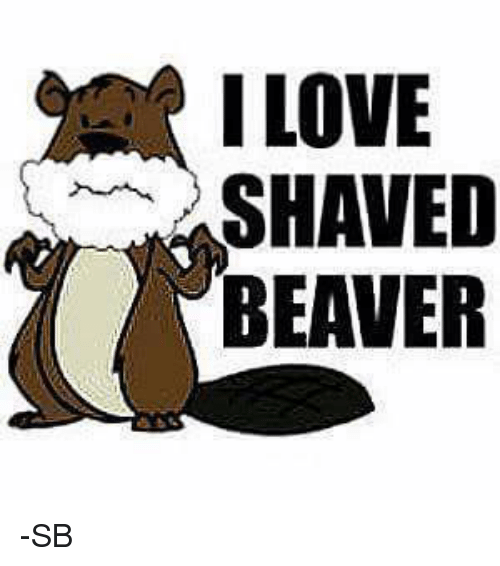 Slate reccomend Shaved beaver cartoon