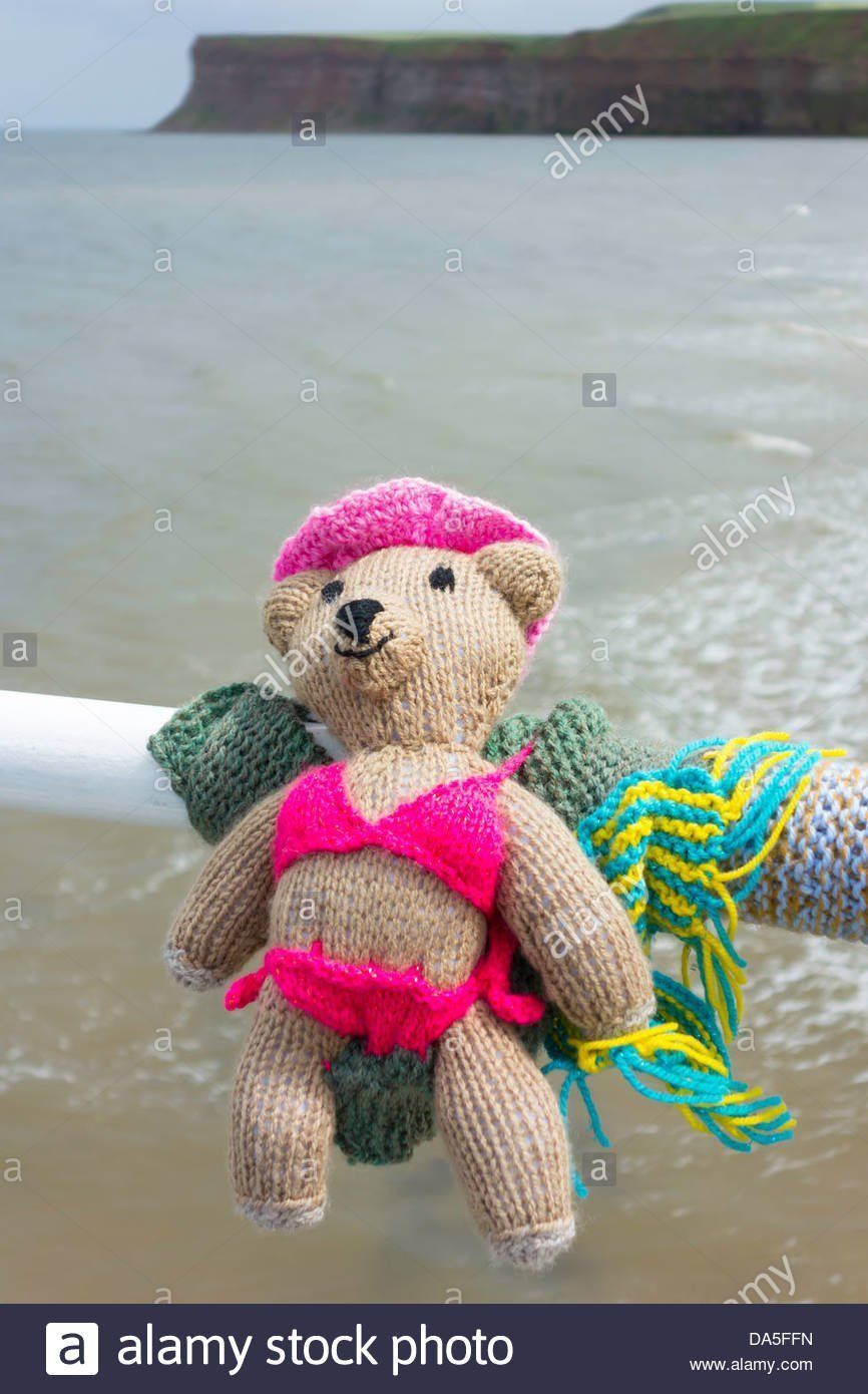 Champ reccomend Picture of bear in a bikini
