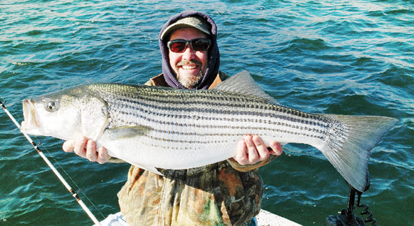 Florida fish report striped bass