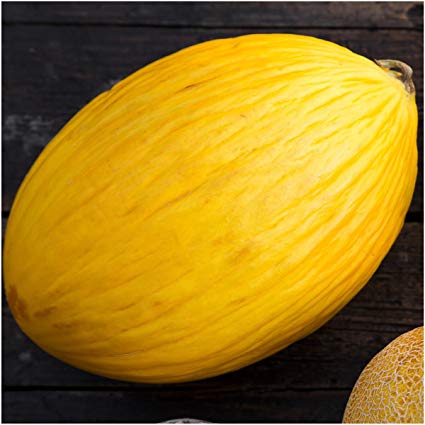 best of Rate Mature mellons