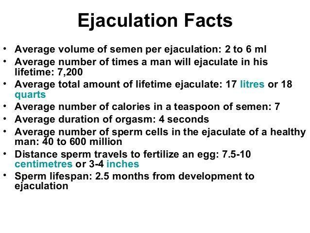 best of Of femal sperm Average life