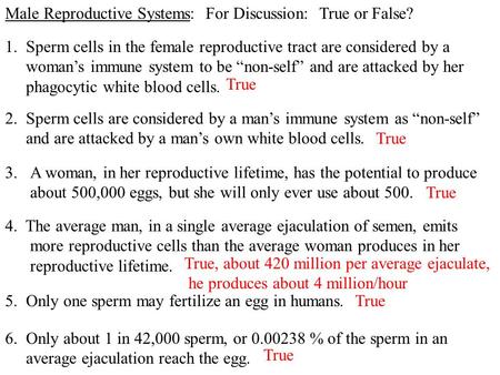 Average life of femal sperm