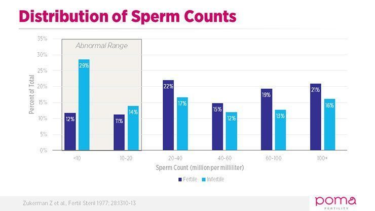 best of Sperm Vas counts reversal