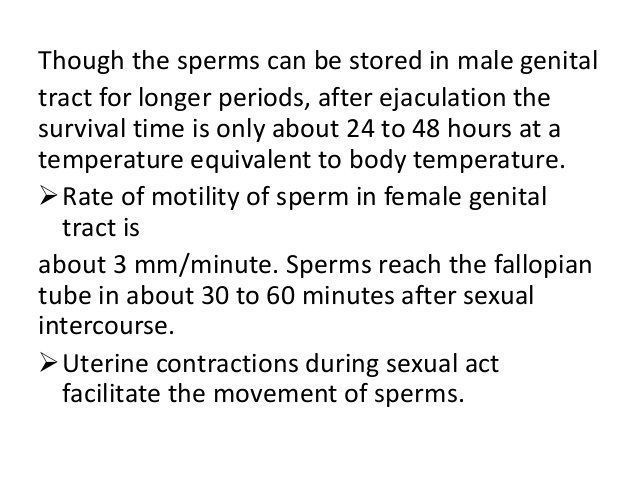 How long can sperm survive in the female reproductive tract
