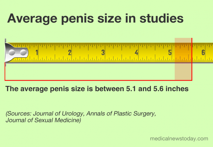 best of Dick size for Average
