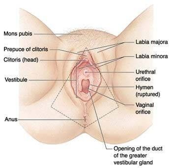 best of Surgery virginity Hymenoplasty