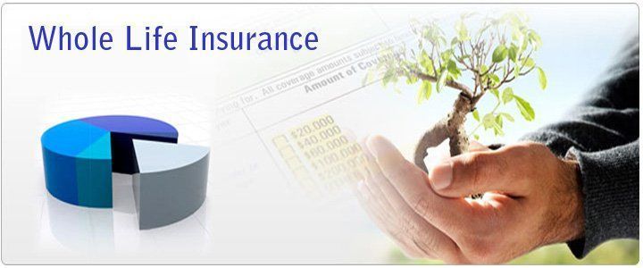 Do whole life insurance policies mature