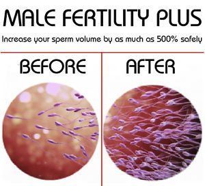 best of Amino Sperm acids production