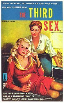 Lesbian fiction writer