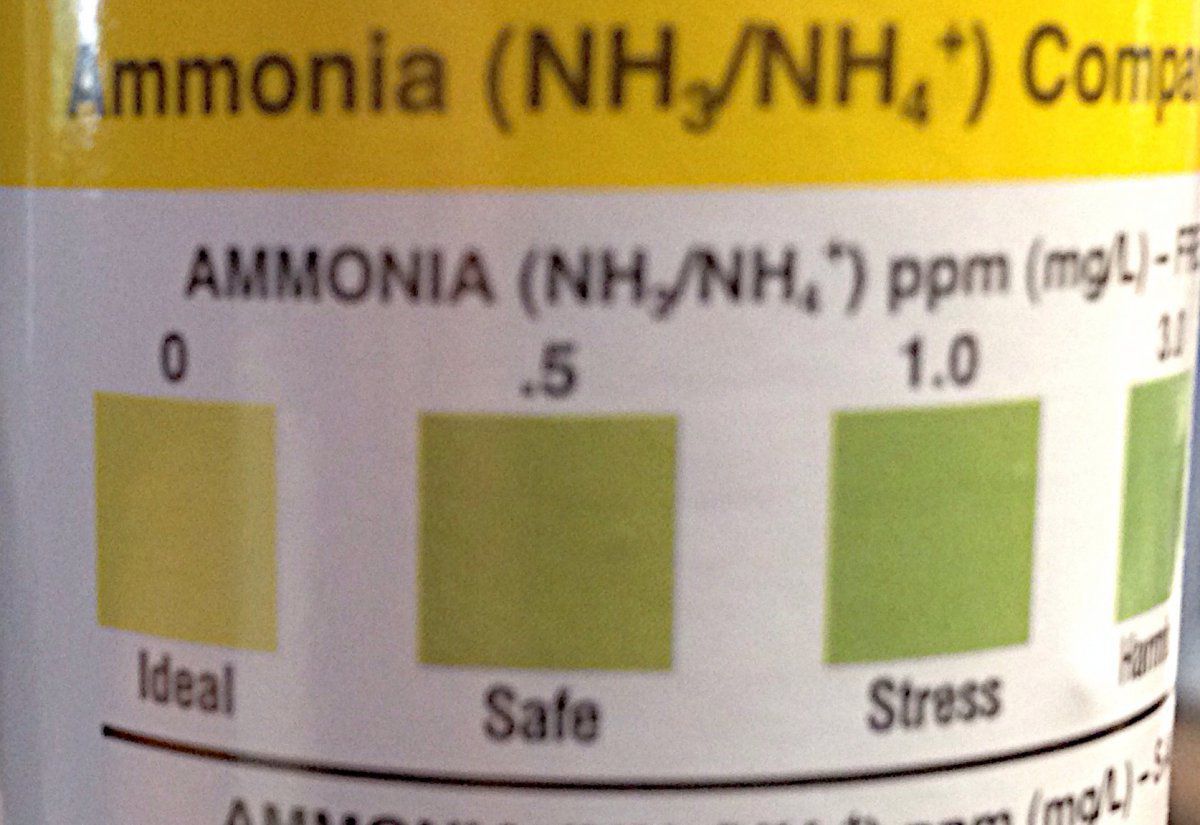 best of Test strip Ammonia