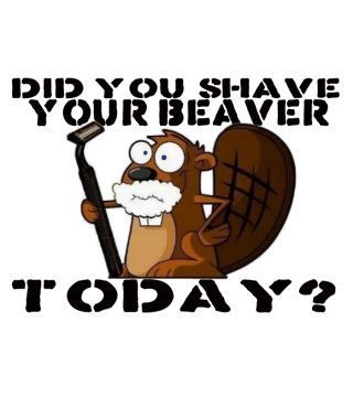 Shaved beaver cartoon