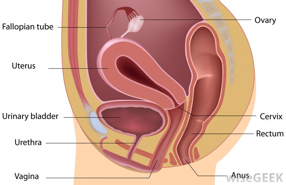 Orgasm contractions after hysterectomy