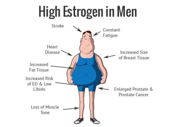 best of Men Testosterone sperm estrogen