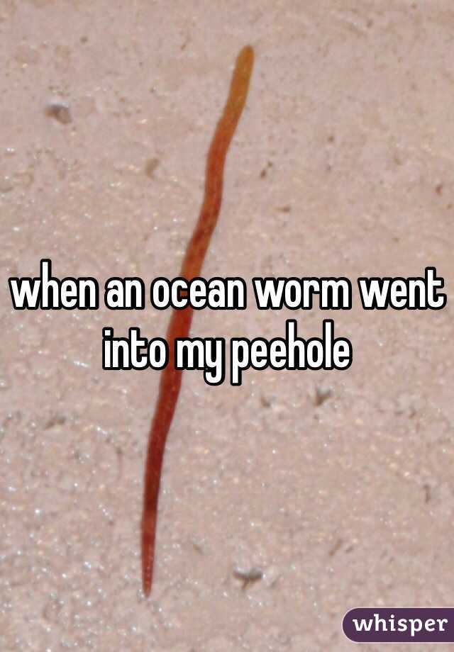 Ci-Ci D. reccomend Worm in the pee hole