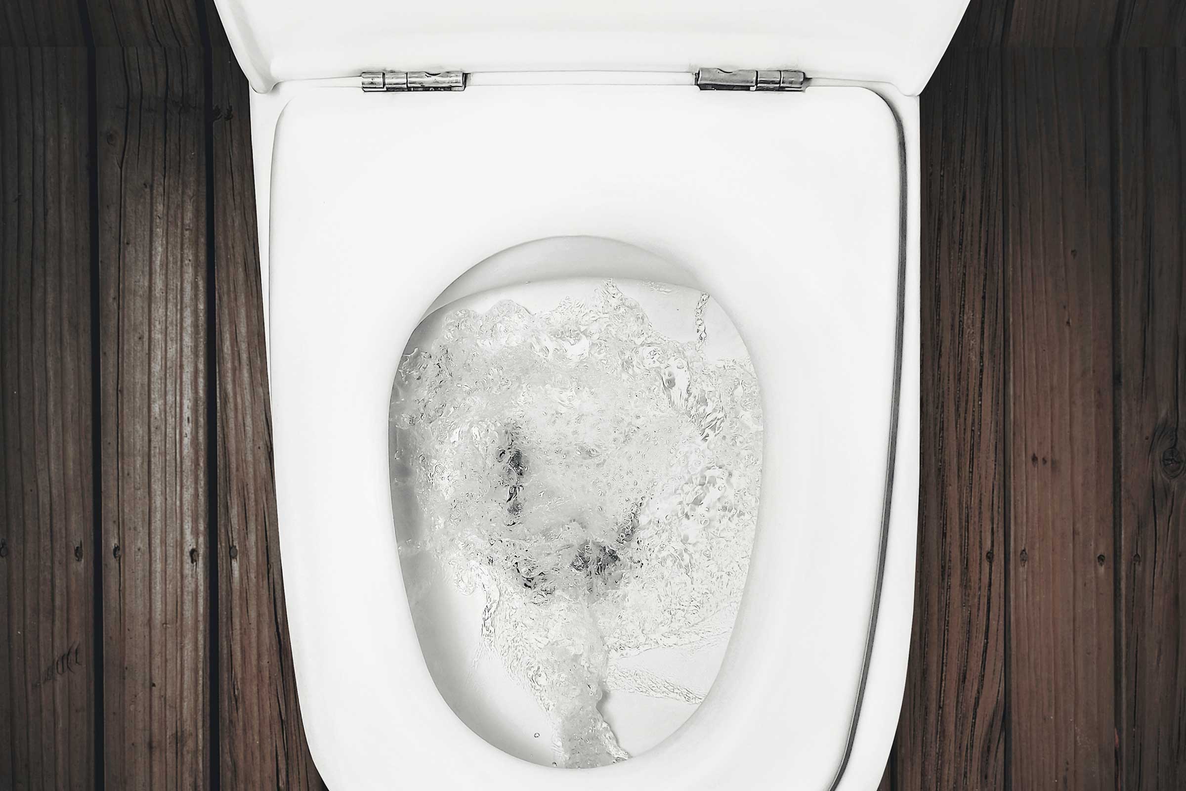 Duckling reccomend Ass bathroom body bum butt hoe peeing toilet
