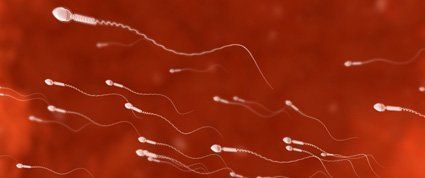How long can sperm live after ejaculation