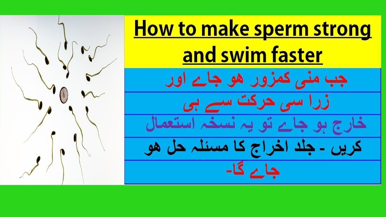 best of Swim Which faster sperm