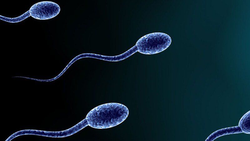 Sperm die when hitting air