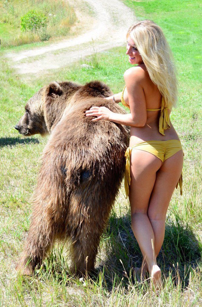 Hook reccomend Picture of bear in a bikini