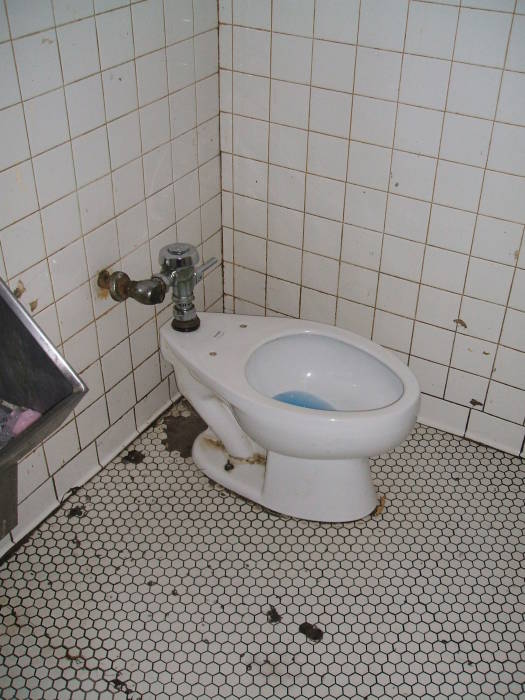 Sylvester reccomend Ass bathroom body bum butt hoe peeing toilet