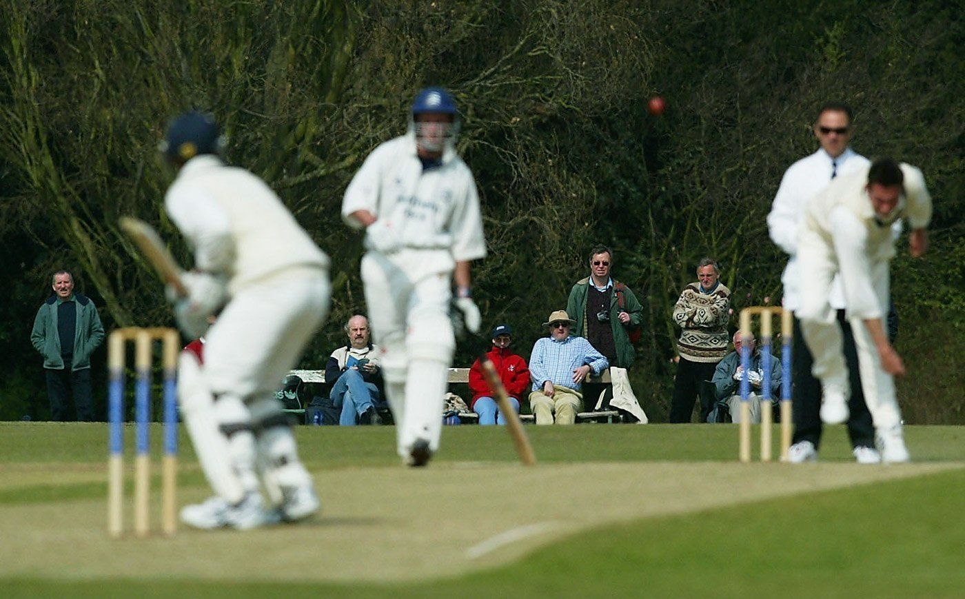 best of Professional Amateur cricketers