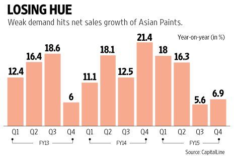 Leather reccomend Asian paints costs