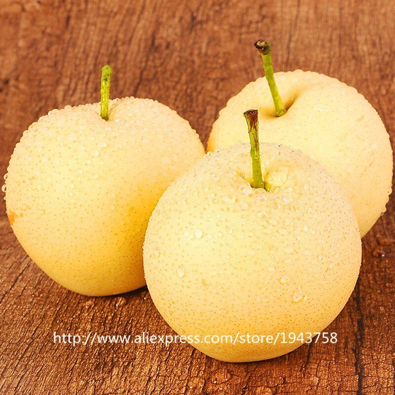 best of Seed Asian pear