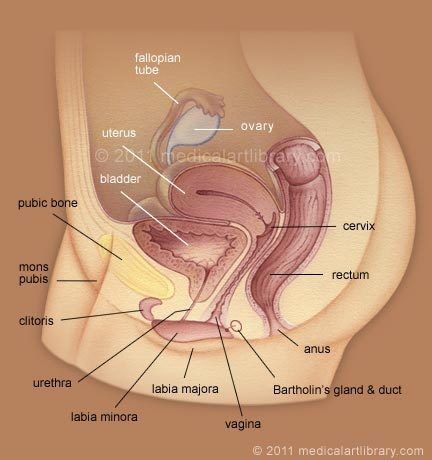 best of The inside a Insert anus tube