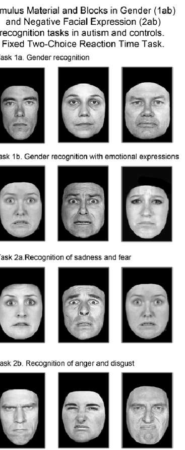 Empress reccomend Autism facial expression recognition test