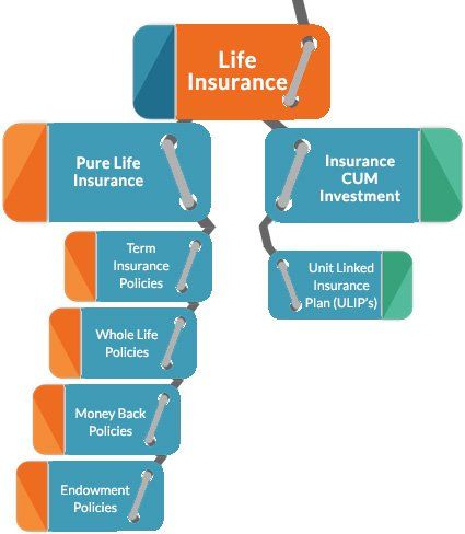 best of Insurance mature whole life Do policies