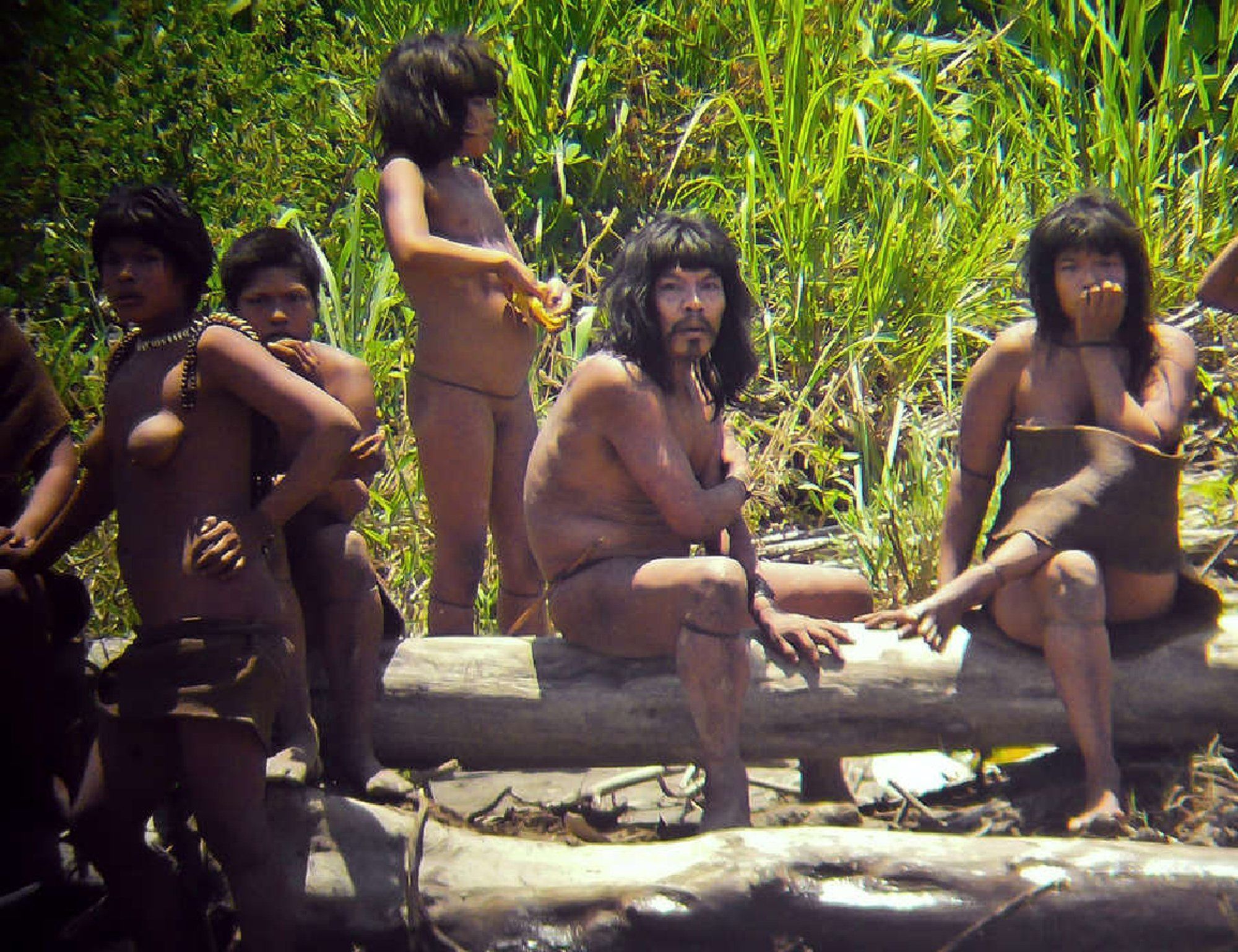 Nude South American Jungle Boys