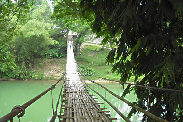 Doctor reccomend Bohol swinging bridge