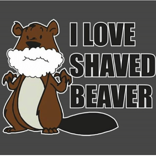 Yak reccomend Shaved beaver cartoon
