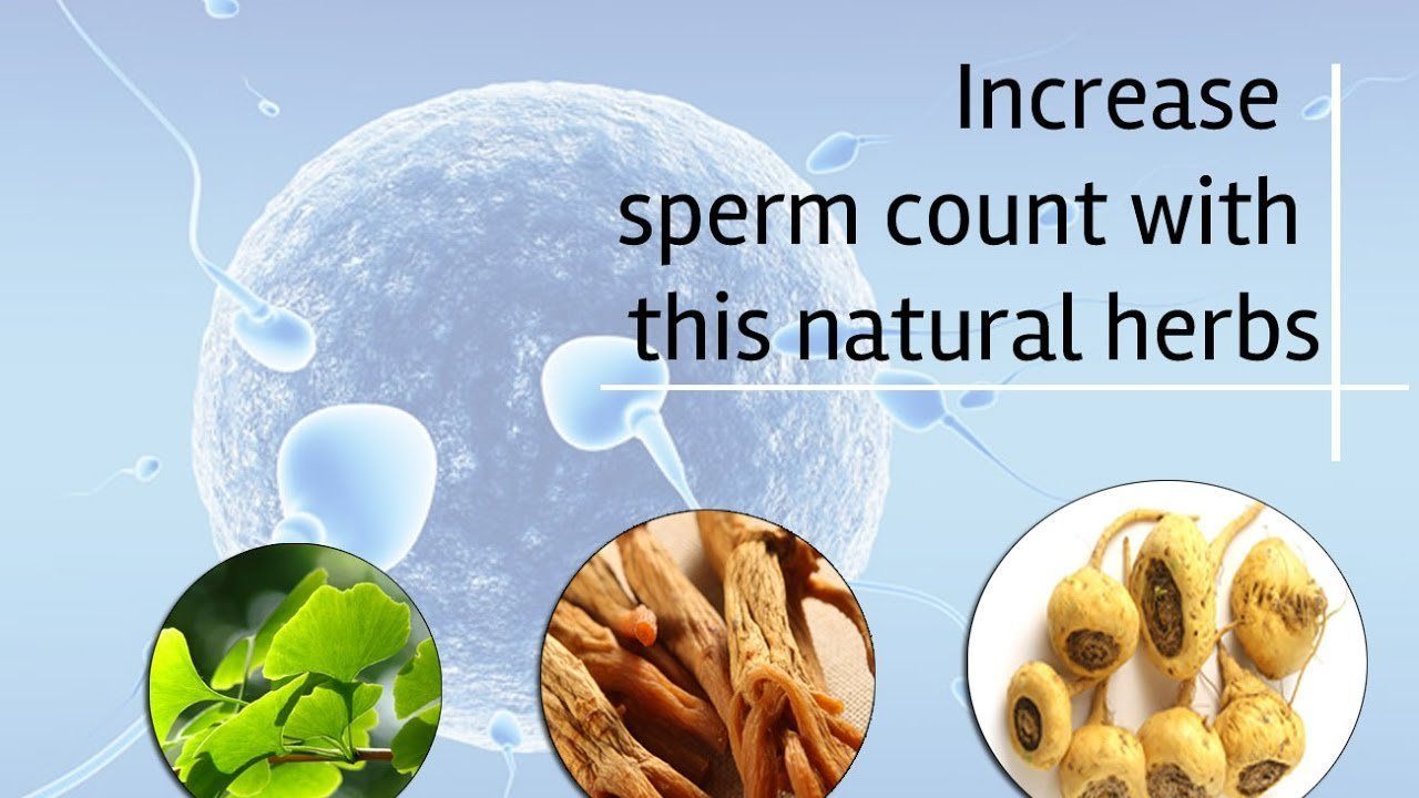 best of Increase Medicine sperm