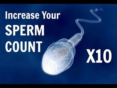 best of Amino Sperm acids production