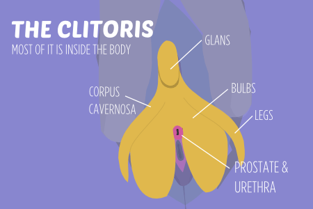best of Clitoris clean Stimulating