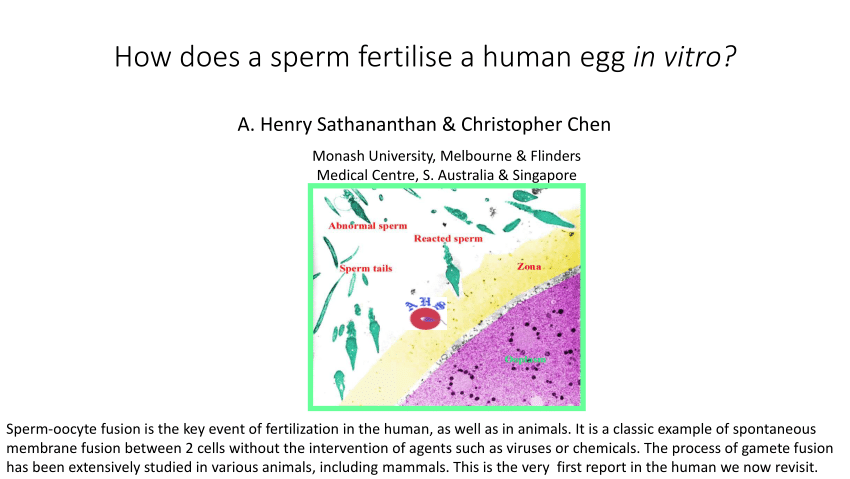 best of Sperm her Txt eggs fertilize
