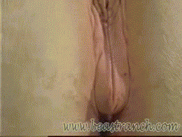 Brown E. reccomend horny pussy winking squirting