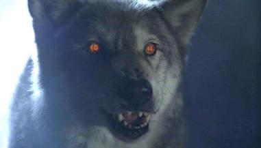 Wishbone reccomend absolutely shredded teen wolf look alike
