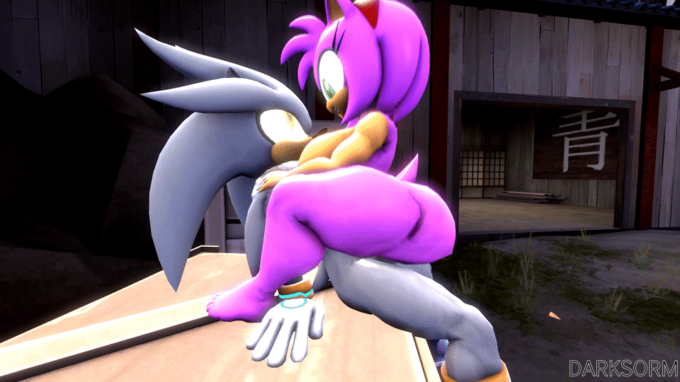 Sonic sexy hedgehog